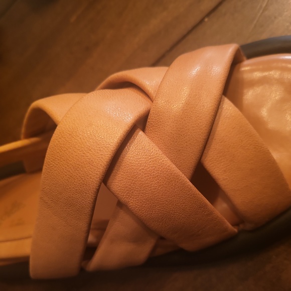 Seychelles Punchline - Picture 4 of 6